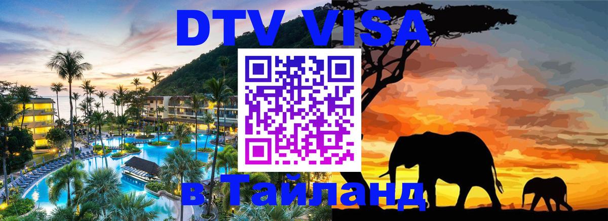 Сколько стоит DTV виза — актуальные цены, оформление даже без документов - 06.10.2025 